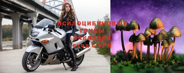 прущие грибы Арсеньев