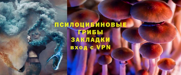 прущие грибы Арсеньев