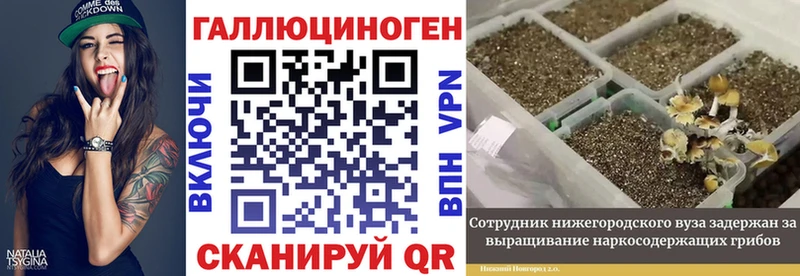 наркота  Ханты-Мансийск  блэк спрут ТОР  Псилоцибиновые грибы мухоморы 